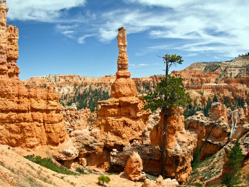 Bryce-Canyon National Park