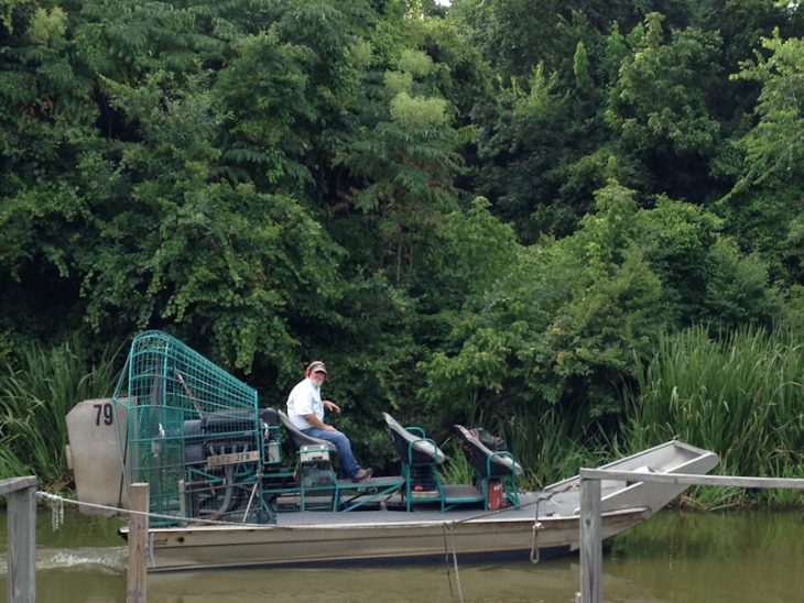 The Best Airboat & Alligators Swamp Tour in Louisiana