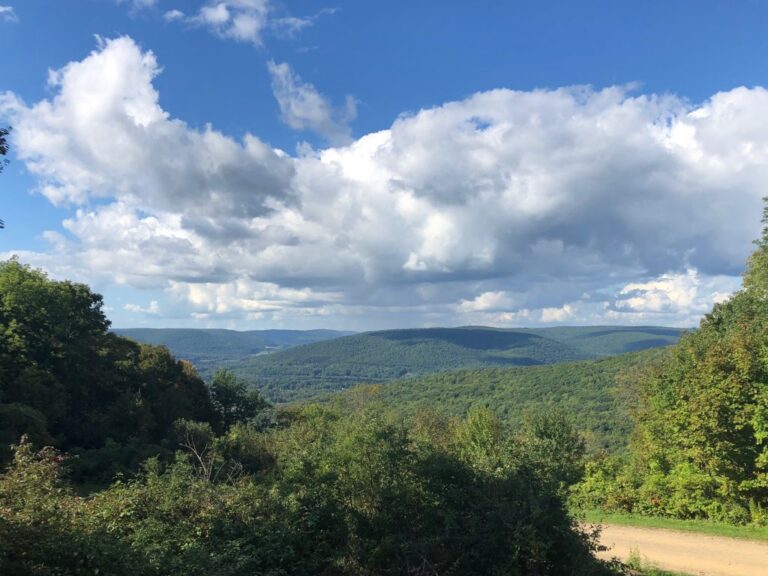 Why You Should Camp At Allegany State Park in New York