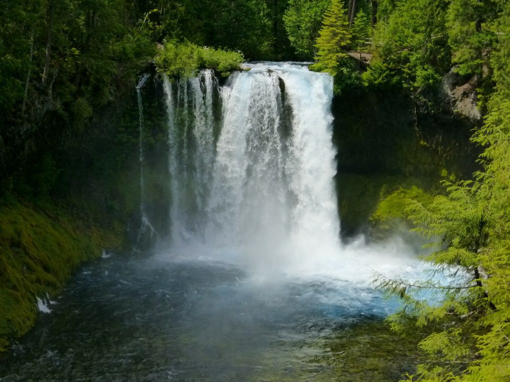 Waterfall in the pacific northwest.