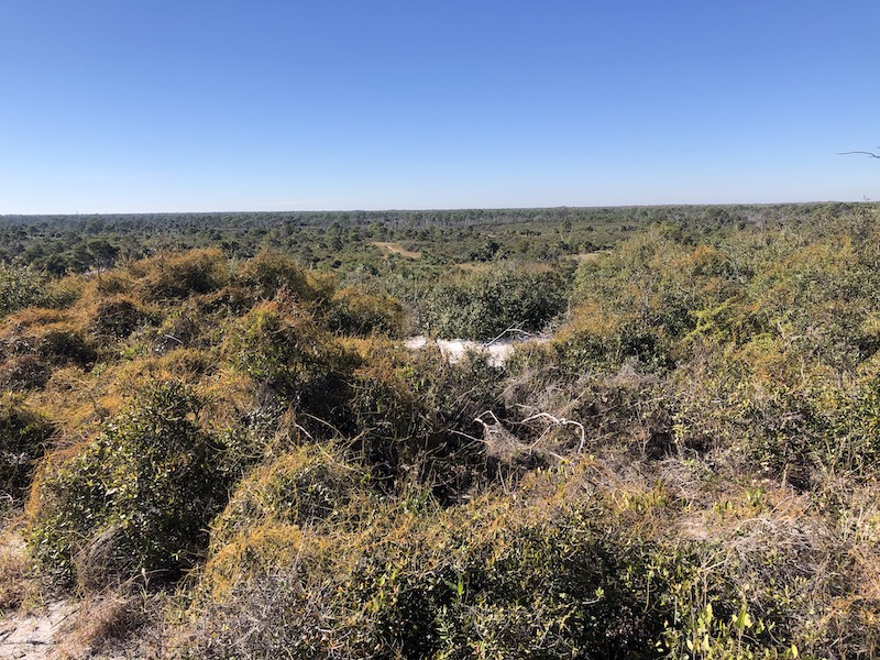 Vista view of Jonathan Dickinson State park in Florida.