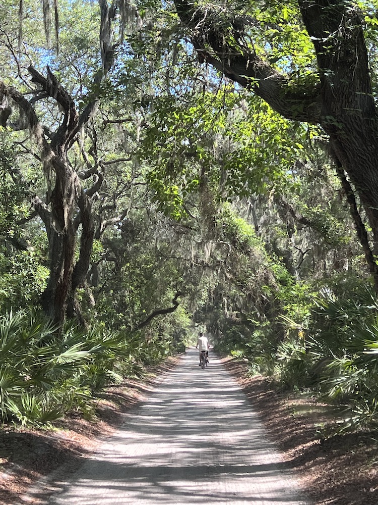 Cumberland Island